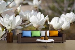 T0327 Wallpaper White magnolia