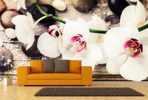 T9054 Wallpaper White orchids