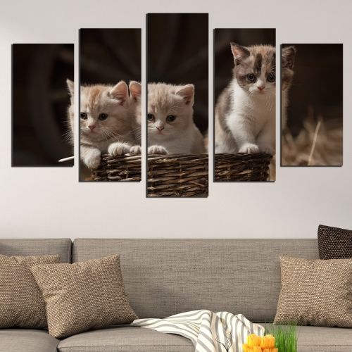 5 pieces home decoration in brown with sweet cats