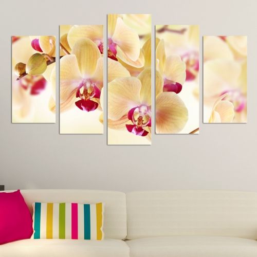 Wall decoration with orchids