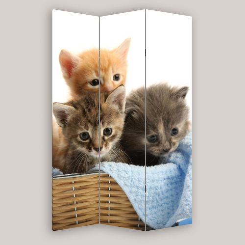 P0425 Decorative Screen Room divider Cute kittens (3,4,5 or 6 panels)