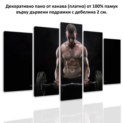 0655 Wall art decoration (set of 5 pieces) Fitness man