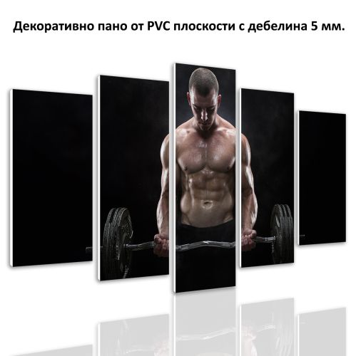 0655 Wall art decoration (set of 5 pieces) Fitness man