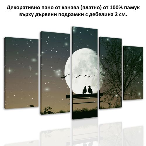 0652  Wall art decoration (set of 5 pieces) Moonlight