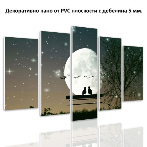 0652  Wall art decoration (set of 5 pieces) Moonlight