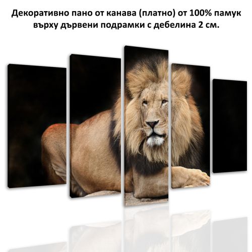 0650 Wall art decoration (set of 5 pieces) Lion