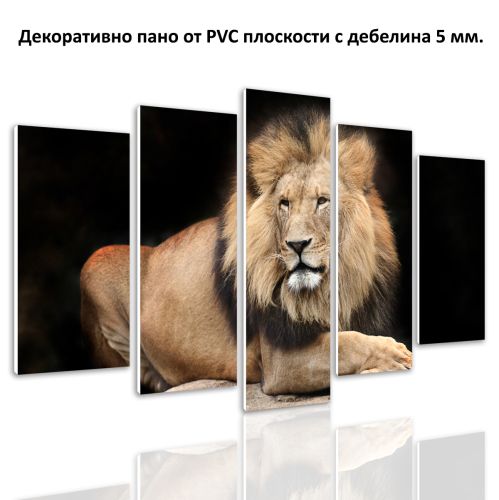 0650 Wall art decoration (set of 5 pieces) Lion