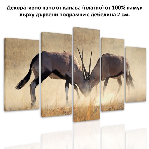 0610 Wall art decoration (set of 5 pieces) Collision