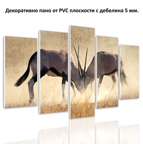 0610 Wall art decoration (set of 5 pieces) Collision