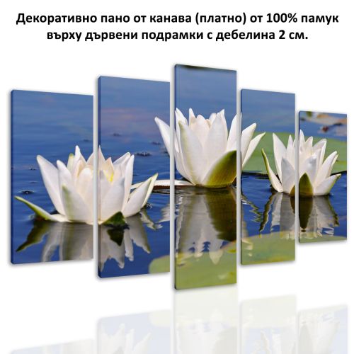 0597 Wall art decoration (set of 5 pieces) Water lillies