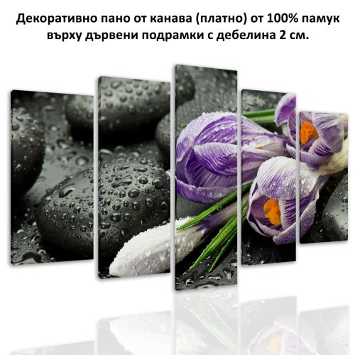 0590 Wall art decoration (set of 5 pieces) Zen composition with crocuses