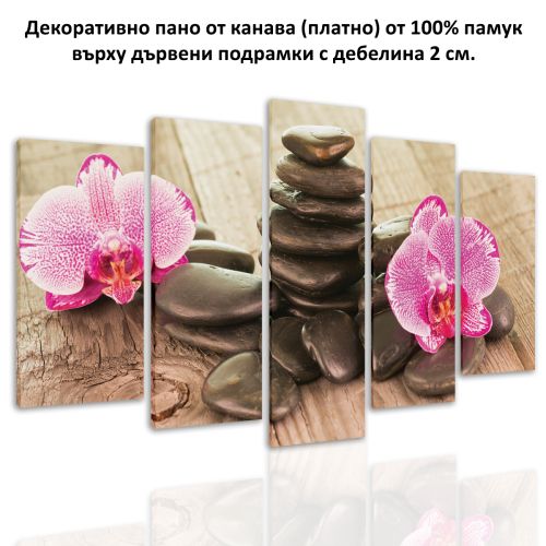 0582 Wall art decoration (set of 5 pieces) Orchids and stones on wooden background