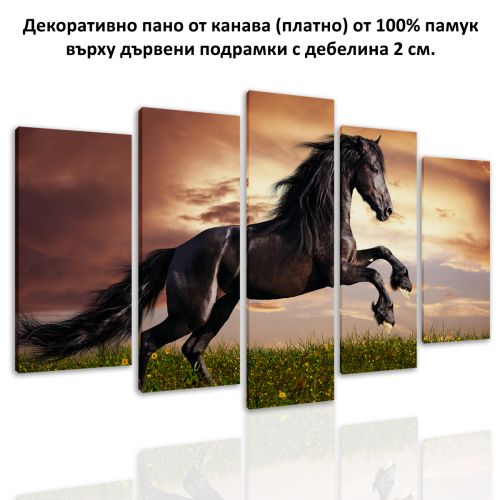 0549 Wall art decoration (set of 5 pieces) Wild horse