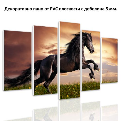 0549 Wall art decoration (set of 5 pieces) Wild horse