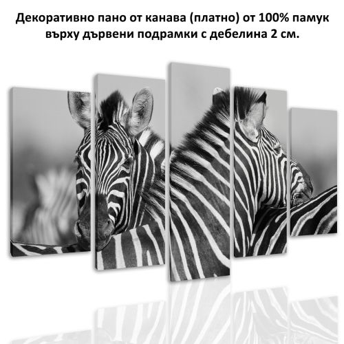 0533 Wall art decoration (set of 5 pieces) Couple zebras