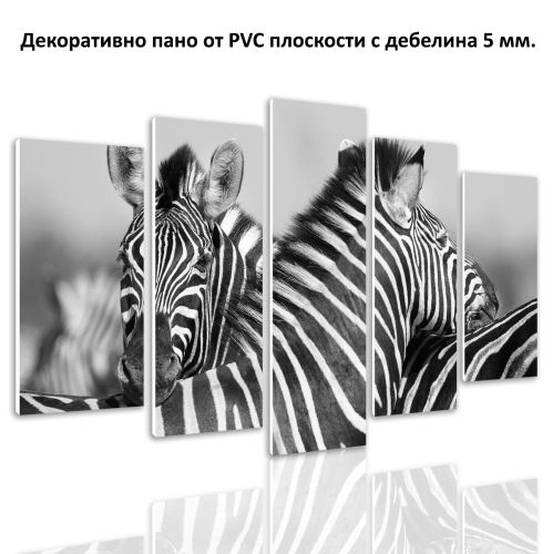 0533 Wall art decoration (set of 5 pieces) Couple zebras