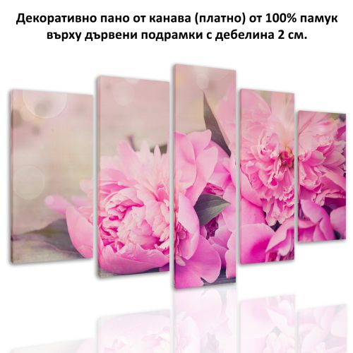 0512 Wall art decoration (set of 5 pieces) Peonies