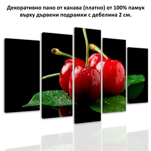 0496 Wall art decoration (set of 5 pieces) Cherries