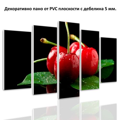 0496 Wall art decoration (set of 5 pieces) Cherries