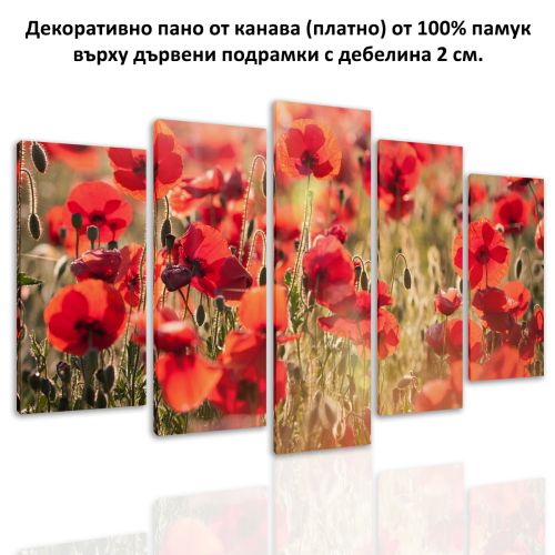 0474 Wall art decoration (set of 5 pieces) Poppies