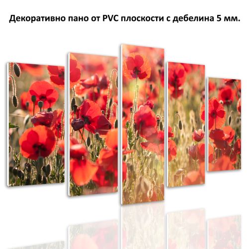 0474 Wall art decoration (set of 5 pieces) Poppies