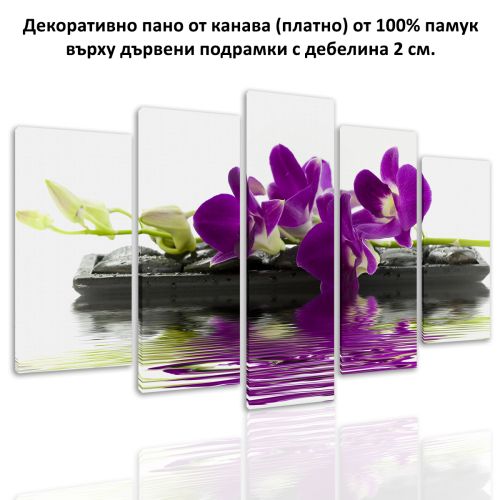 0047 Wall art decoration (set of 5 pieces) Purple orchid