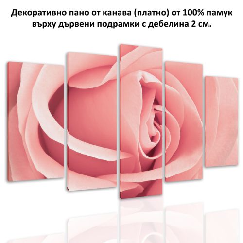 0071 Wall art decoration (set of 5 pieces) Pink rose