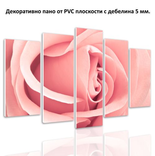 0071 Wall art decoration (set of 5 pieces) Pink rose