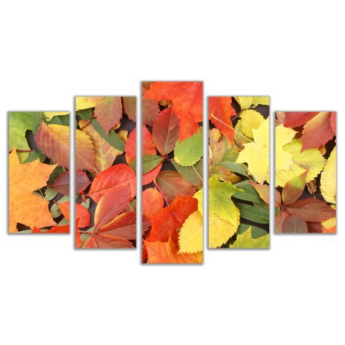 0114 Wall art decoration (set of 5 pieces) Autumn leaves