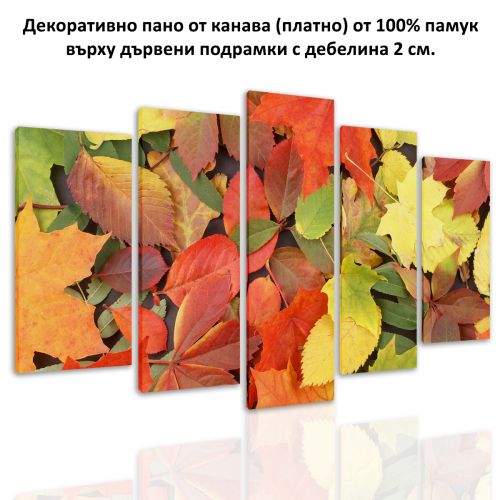 0114 Wall art decoration (set of 5 pieces) Autumn leaves