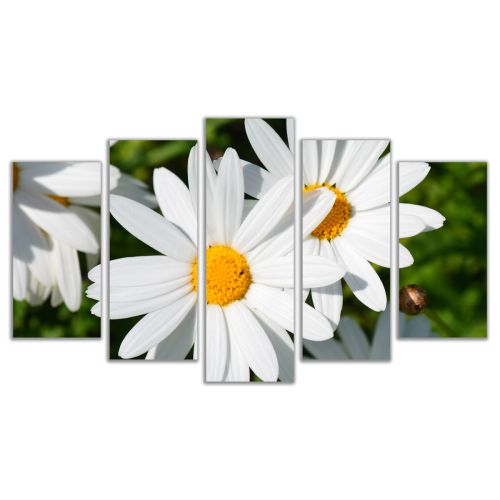 0147  Wall art decoration (set of 5 pieces) Daisies