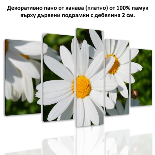 0147  Wall art decoration (set of 5 pieces) Daisies