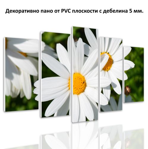 0147  Wall art decoration (set of 5 pieces) Daisies