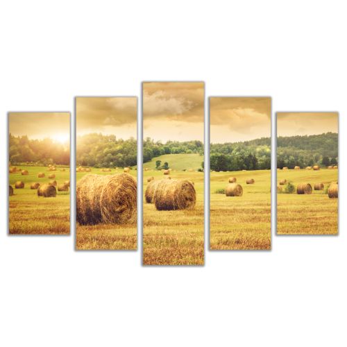 0317 Wall art decoration (set of 5 pieces) Sunset over the field