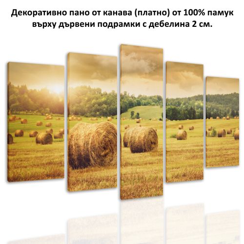 0317 Wall art decoration (set of 5 pieces) Sunset over the field