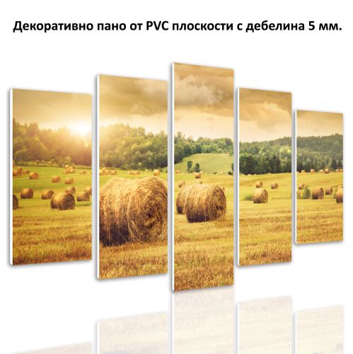 0317 Wall art decoration (set of 5 pieces) Sunset over the field