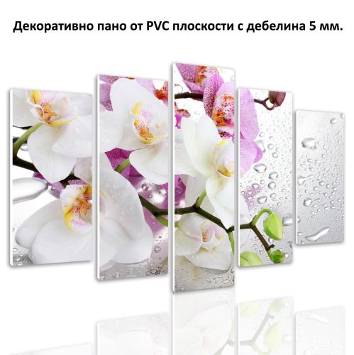 0326 Wall art decoration (set of 5 pieces) White and purple orchids