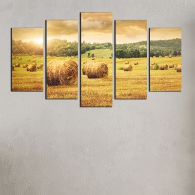 0317 Wall art decoration (set of 5 pieces) Sunset over the field