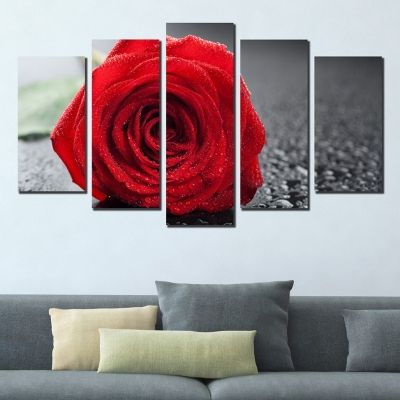 wall decoration red rose