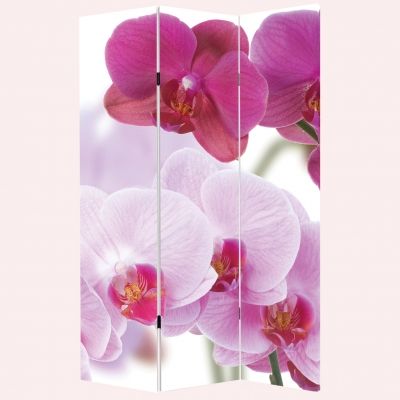 Decorative Room devider Beautiful orchids