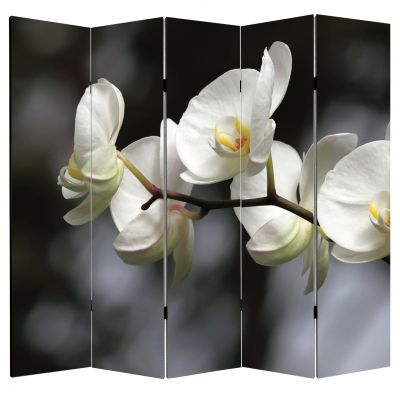 P0149 Decorative Screen Room devider Pretty woman (3,4,5 or 6 panels)