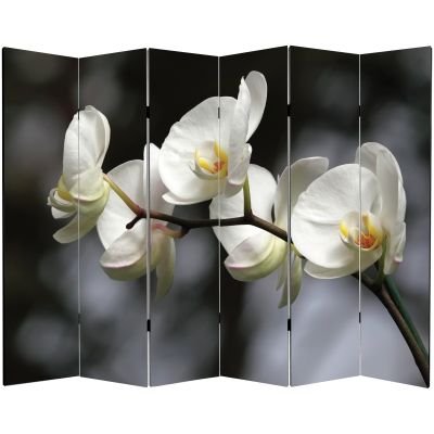 P0149 Decorative Screen Room devider Pretty woman (3,4,5 or 6 panels)