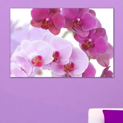 0099_1 Wall art decoration Beautiful orchids