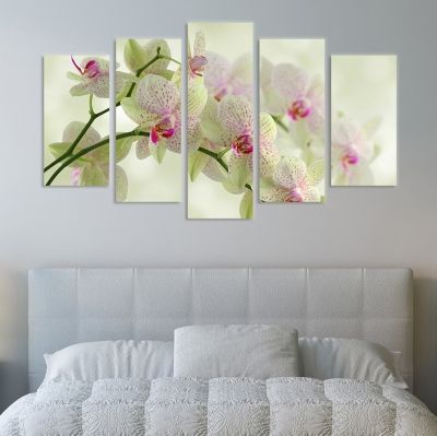 0093 Wall art decoration (set of 5 pieces) White orchids