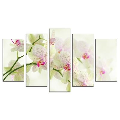 0093 Wall art decoration (set of 5 pieces) White orchids