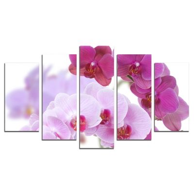 0099 Wall art decoration (set of 5 pieces) Beautiful orchids