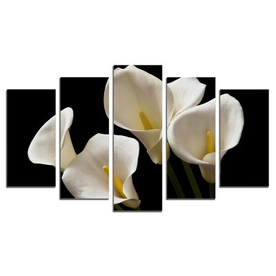 0198 Wall art decoration (set of 5 pieces) Calla lilies