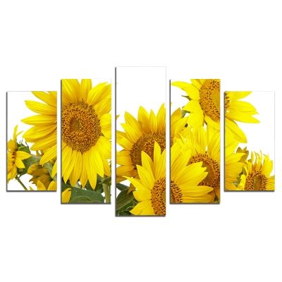 0204 Wall art decoration (set of 5 pieces) Sunflowers