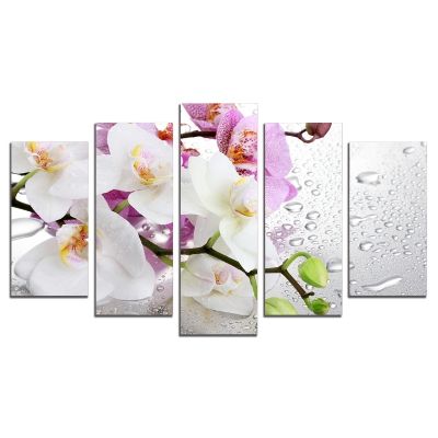 0326 Wall art decoration (set of 5 pieces) White and purple orchids