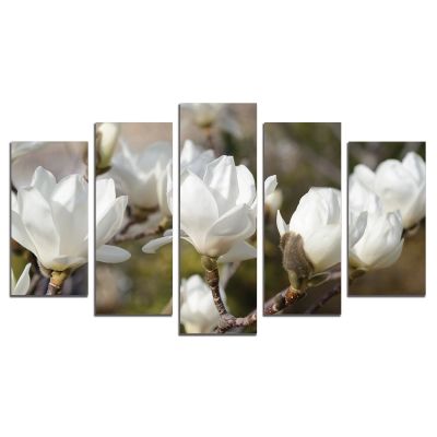 0327 Wall art decoration (set of 5 pieces) White magnolia